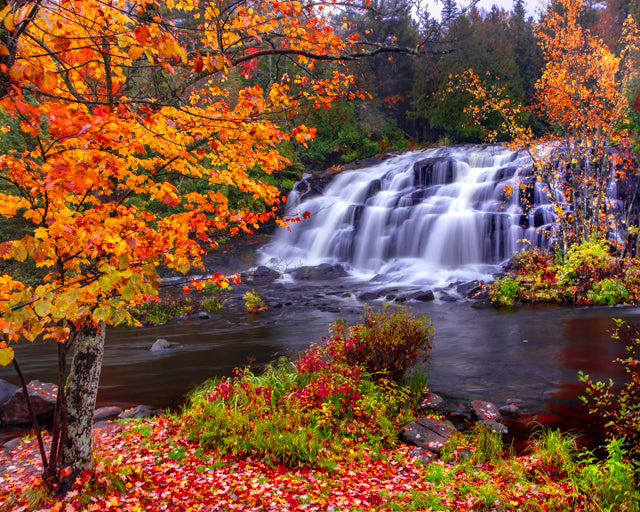 Bond Falls