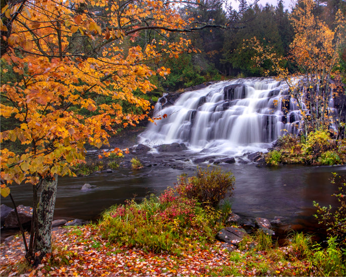 Bond Falls