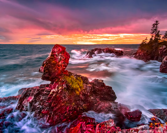 Fish Cove